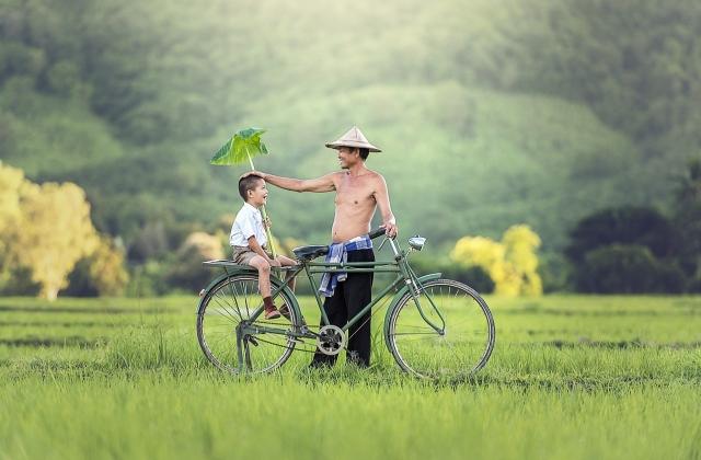 Top 7 Facts About Father's Day